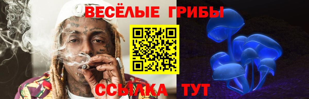 Нижнекамск  Галлюциногенные грибы MAGIC MUSHROOMS  Вход с VPN 